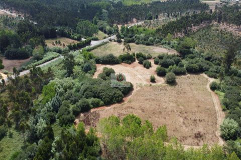 Helårsgrund i Vagos, Aveiro, Vagos - € 54.656 | Ref: 450 - foto 7