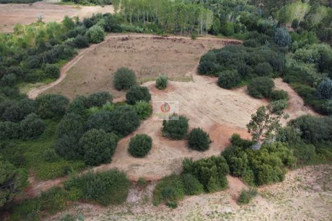 Helårsgrund i Vagos, Aveiro, Vagos - € 54.656 | Ref: 450 - foto 8