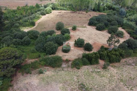 Helårsgrund i Vagos, Aveiro, Vagos - € 54.656 | Ref: 450 - foto 9