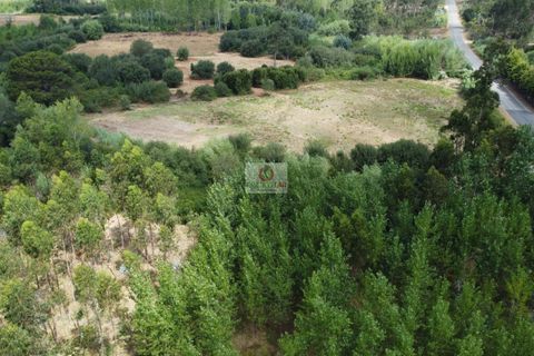 Helårsgrund i Vagos, Aveiro, Vagos - € 54.656 | Ref: 450 - foto 10
