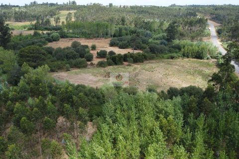 Helårsgrund i Vagos, Aveiro, Vagos - € 54.656 | Ref: 450 - foto 11