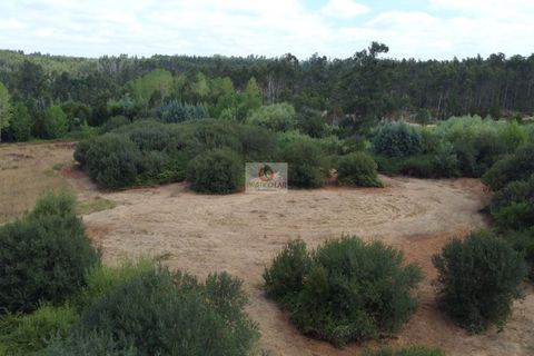 Helårsgrund i Vagos, Aveiro, Vagos - € 54.656 | Ref: 450 - foto 13