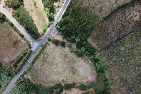 Helårsgrund i Vagos, Aveiro, Vagos - € 54.656 | Ref: 450 - foto 16