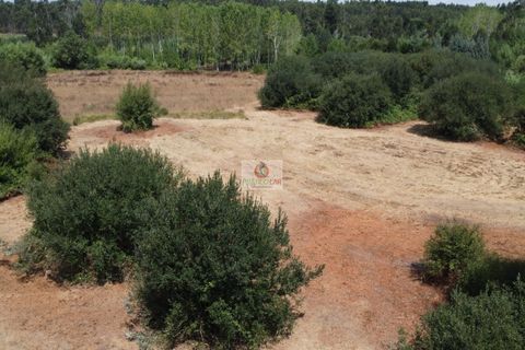 Helårsgrund i Vagos, Aveiro, Vagos - € 54.656 | Ref: 450 - foto 18