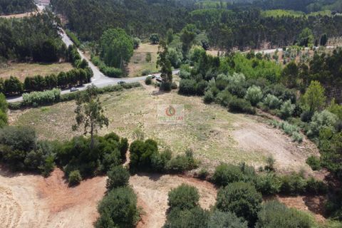 Helårsgrund i Vagos, Aveiro, Vagos - € 54.656 | Ref: 450 - foto 19