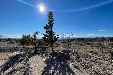 Helårsgrund i Huercal-Overa, Almeria, Huercal-Overa - € 100.000 | Ref: A1256 - foto 11