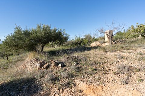 Finca i Tortosa, Tarragona, Tortosa - € 25.000 | Ref: 616 - foto 14