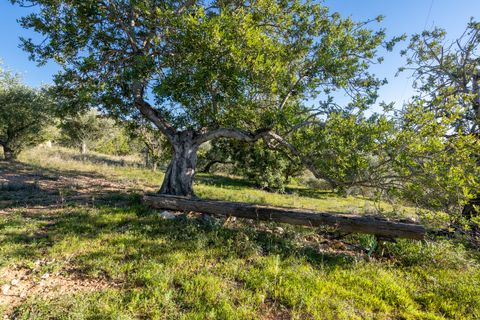 Finca i Tortosa, Tarragona, Tortosa - € 25.000 | Ref: 616 - foto 10
