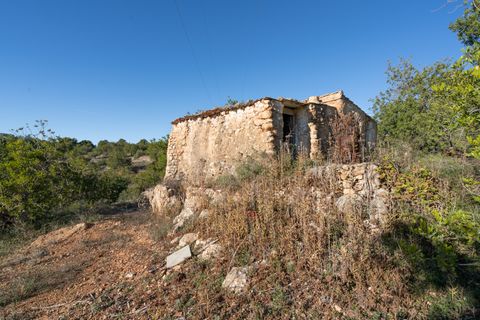 Finca i Tortosa, Tarragona, Tortosa - € 25.000 | Ref: 616 - foto 5
