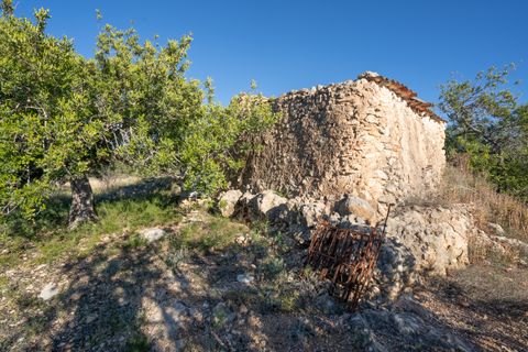 Finca i Tortosa, Tarragona, Tortosa - € 25.000 | Ref: 616 - foto 4