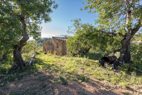Finca i Tortosa, Tarragona, Tortosa - € 25.000 | Ref: 616 - foto 6