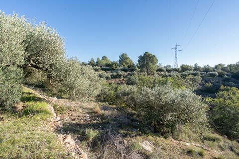 Finca i Tortosa, Tarragona, Tortosa - € 25.000 | Ref: 616 - foto 16