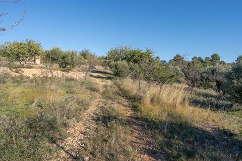 Finca i Tortosa, Tarragona, Tortosa - € 25.000 | Ref: 616 - foto 13