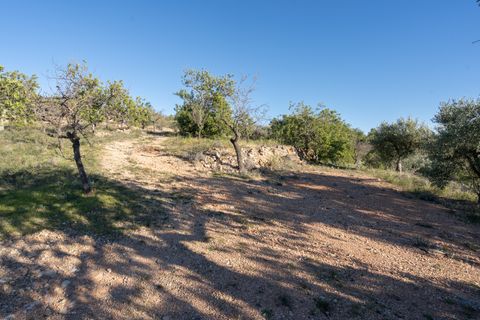 Finca i Tortosa, Tarragona, Tortosa - € 25.000 | Ref: 616 - foto 11