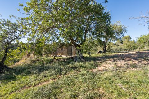 Finca i Tortosa, Tarragona, Tortosa - € 25.000 | Ref: 616 - foto 12