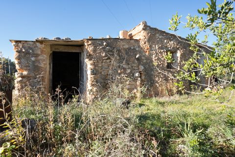 Finca i Tortosa, Tarragona, Tortosa - € 25.000 | Ref: 616 - foto 3