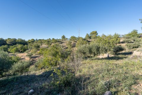 Finca i Tortosa, Tarragona, Tortosa - € 25.000 | Ref: 616 - foto 15