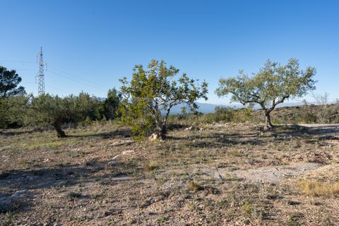 Finca i Tortosa, Tarragona, Tortosa - € 25.000 | Ref: 616 - foto 19