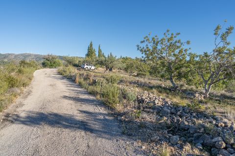 Finca i Tortosa, Tarragona, Tortosa - € 25.000 | Ref: 616 - foto 17