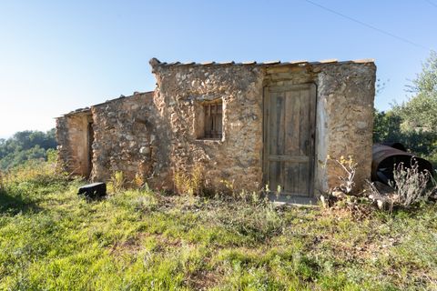 Finca i Tortosa, Tarragona, Tortosa - € 25.000 | Ref: 616 - foto 2