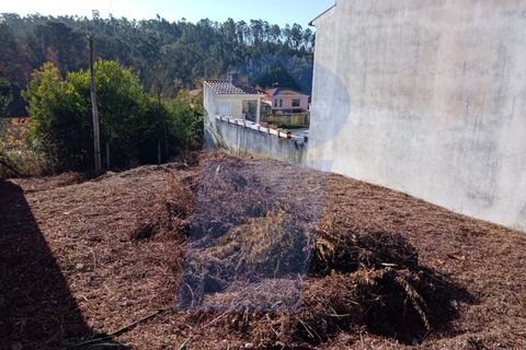 Helårsgrund i Agueda, Aveiro, Agueda - € 30.000 | Ref: TER_861 - foto 4