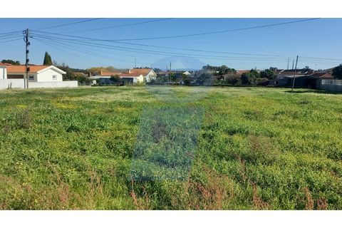Helårsgrund i Oia, Aveiro, Oia - € 106.500 | Ref: TER_760 - foto 2