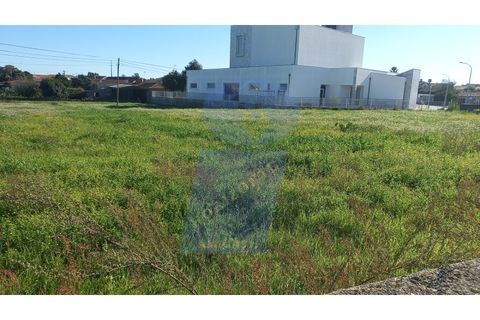 Helårsgrund i Oia, Aveiro, Oia - € 106.500 | Ref: TER_760 - foto 5