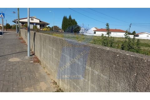 Helårsgrund i Oia, Aveiro, Oia - € 106.500 | Ref: TER_760 - foto 6