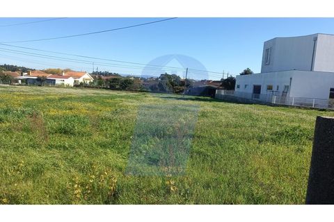 Helårsgrund i Oia, Aveiro, Oia - € 106.500 | Ref: TER_760 - foto 7