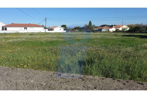 Helårsgrund i Oia, Aveiro, Oia - € 106.500 | Ref: TER_760 - foto 9
