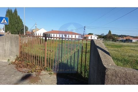 Helårsgrund i Oia, Aveiro, Oia - € 106.500 | Ref: TER_760 - foto 3