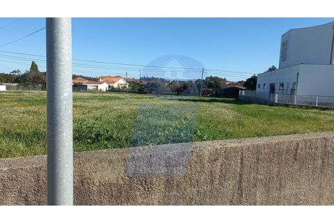 Helårsgrund i Oia, Aveiro, Oia - € 106.500 | Ref: TER_760 - foto 10