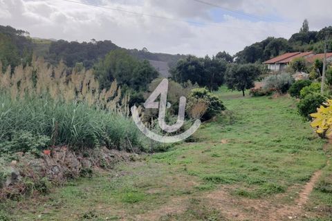 Helårsgrund i Alcobaca, Leiria, Alcobaca - € 80.000 | Ref: S4U120-V106 - foto 1