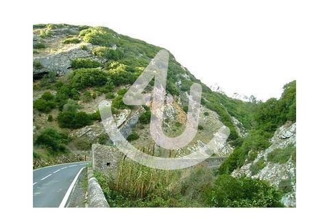 Landejendom i Bombarral, Leiria, Bombarral - € 24.000 | Ref: S4U120-V111 - foto 3
