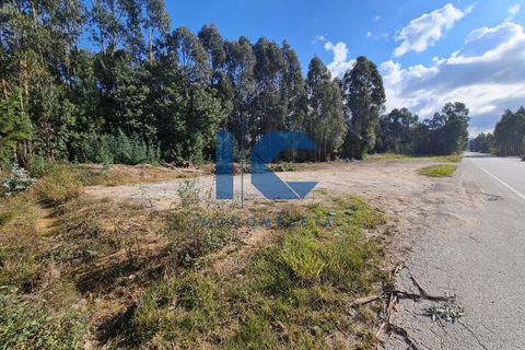 Helårsgrund i Agueda, Aveiro, Agueda - € 75.000 | Ref: 20211100105 - foto 2