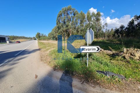 Helårsgrund i Agueda, Aveiro, Agueda - € 75.000 | Ref: 20211100105 - foto 3
