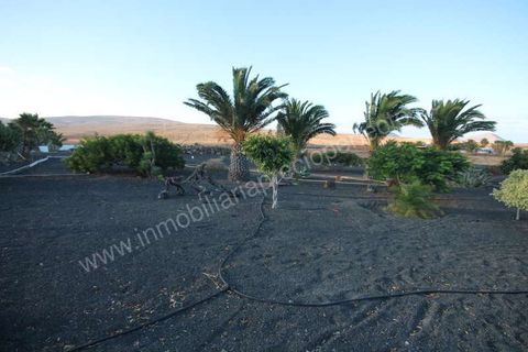 Byhus i Tahiche, Lanzarote, Tahiche - € 1.000.000 | Ref: PP-88659 - foto 34