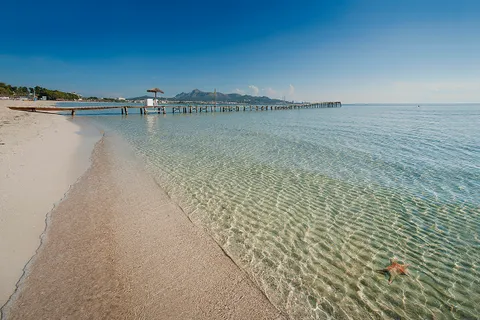 Villa a Alcudia, Mallorca, Alcudia - € 690.000 | Ref: PTA40667PTA2 - foto 13