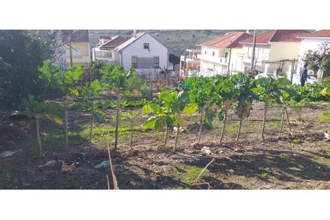 Helårsgrund i Odivelas, Lisbon, Odivelas - € 190.000 | Ref: Terreno Famões - foto 3