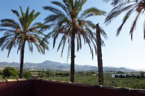 Finca i Leiva, Murcia, Leiva - € 750.000 | Ref: LEIVA03 - foto 23