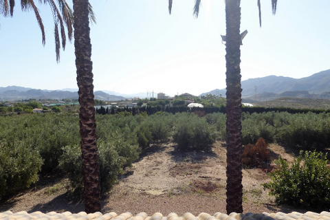 Finca i Leiva, Murcia, Leiva - € 750.000 | Ref: LEIVA03 - foto 22