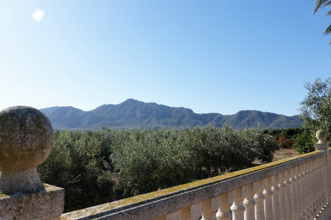 Finca i Leiva, Murcia, Leiva - € 750.000 | Ref: LEIVA03 - foto 7