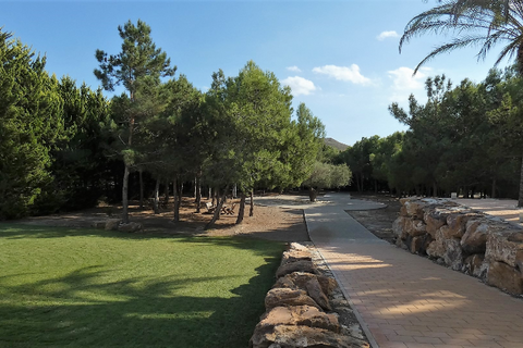 Villa i Lorca, Murcia, Lorca - € 1.600.000 | Ref: Almendricos01 - foto 3