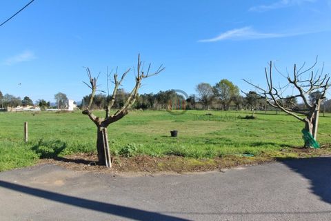 Helårsgrund i Agueda, Aveiro, Agueda - € 42.500 | Ref: IMO_143 - foto 1