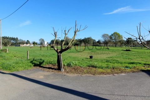 Helårsgrund i Agueda, Aveiro, Agueda - € 42.500 | Ref: IMO_143 - foto 2