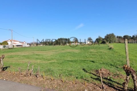 Helårsgrund i Agueda, Aveiro, Agueda - € 42.500 | Ref: IMO_143 - foto 3