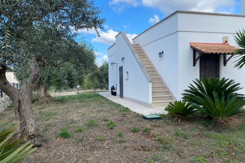 Villa i Cisternino, Brindisi, Cisternino - € 185.000 | Ref: 154 - foto 10