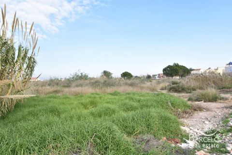 Grond in Catral, Alicante, Catral - € 125.000 | Ref: 1811 - foto 2