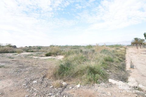 Grond in Catral, Alicante, Catral - € 125.000 | Ref: 1811 - foto 3