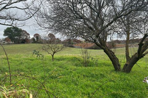 Landejendom i Ostuni, Brindisi, Ostuni - € 250.000 | Ref: 155 - foto 38